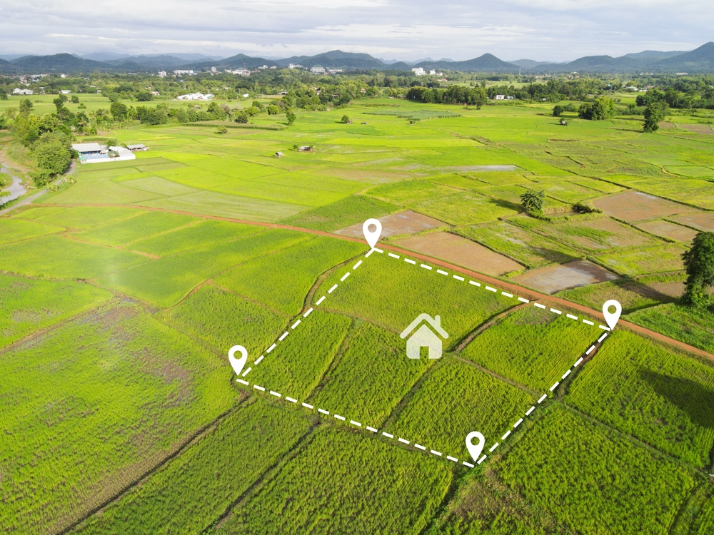 1 Acre in Sq Ft: How Many Square Feet Is 1 Acre?