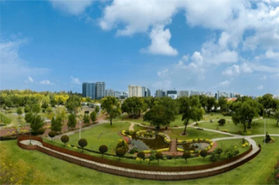 Cooperative Housing Society: Types, Objectives & Benefits